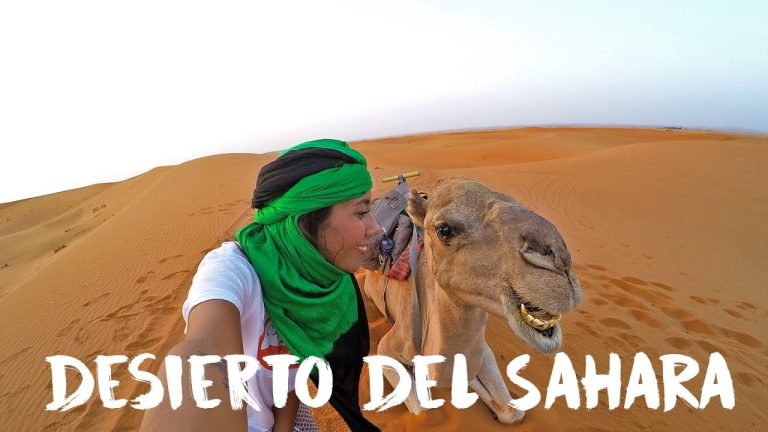 Descubre el misterioso paradero del desierto del Sahara en &Aacute;frica