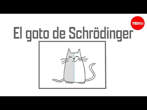El intrigante misterio del gato de Schr&ouml;dinger: &iquest;vivo o muerto?